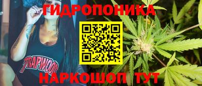 a pvp Заводоуковск